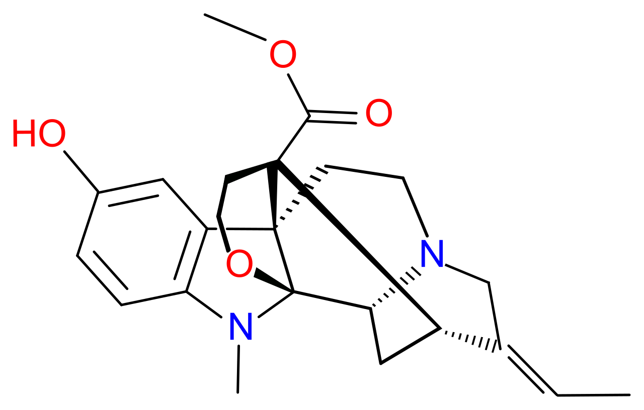 en.wikipedia.org