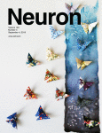www.sciencedirect.com