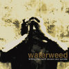 waterweed.bandcamp.com