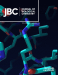 www.sciencedirect.com
