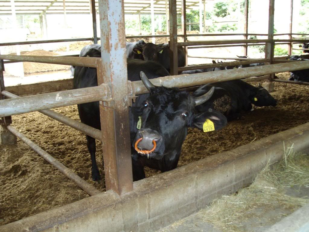 farmingpictures011.jpg
