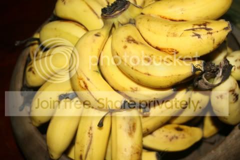 IMG_1031.jpg