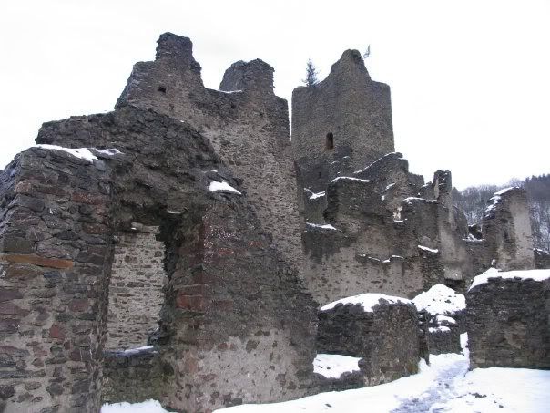 Castle3niederburg_court.jpg