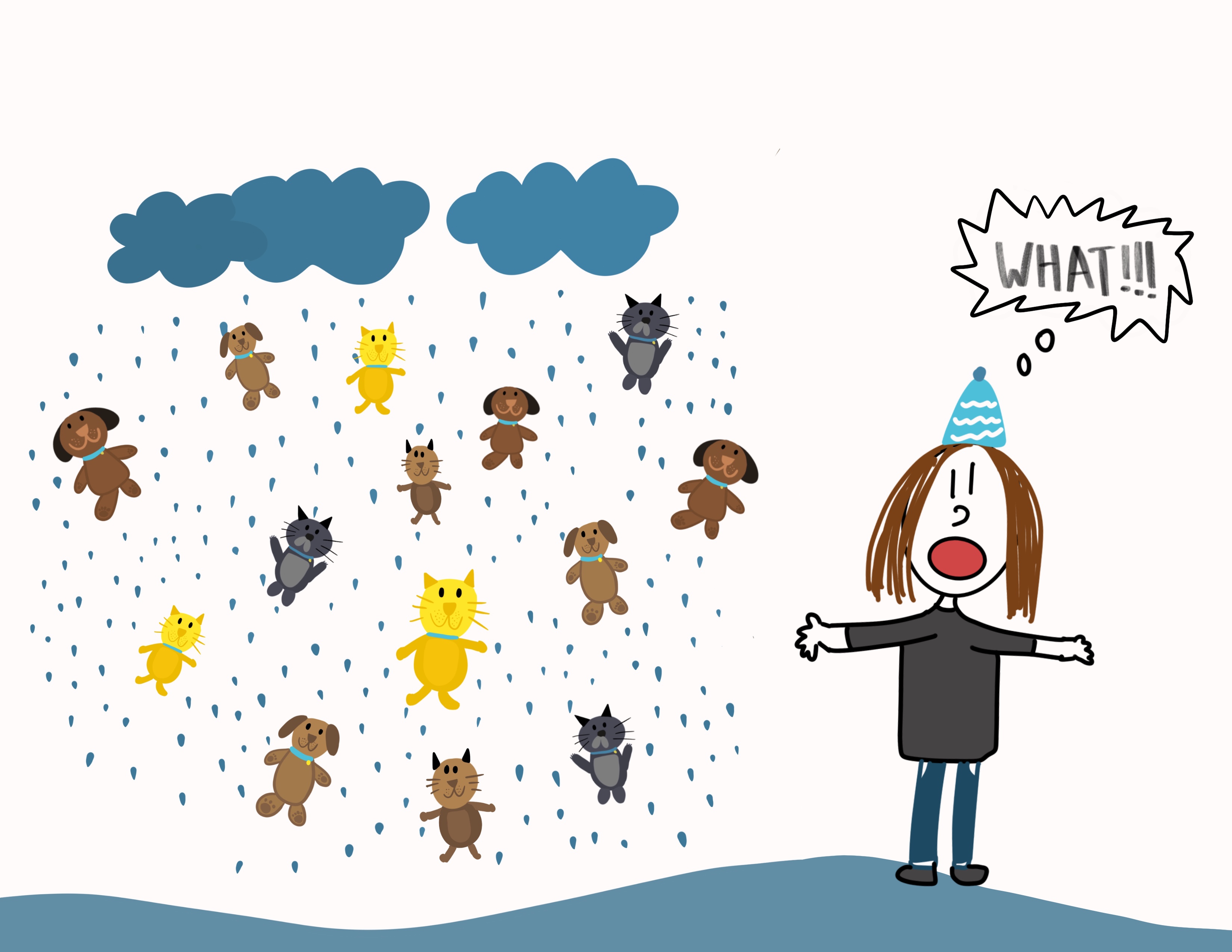 Its-Raining-Cats-and-Dogs.JPG