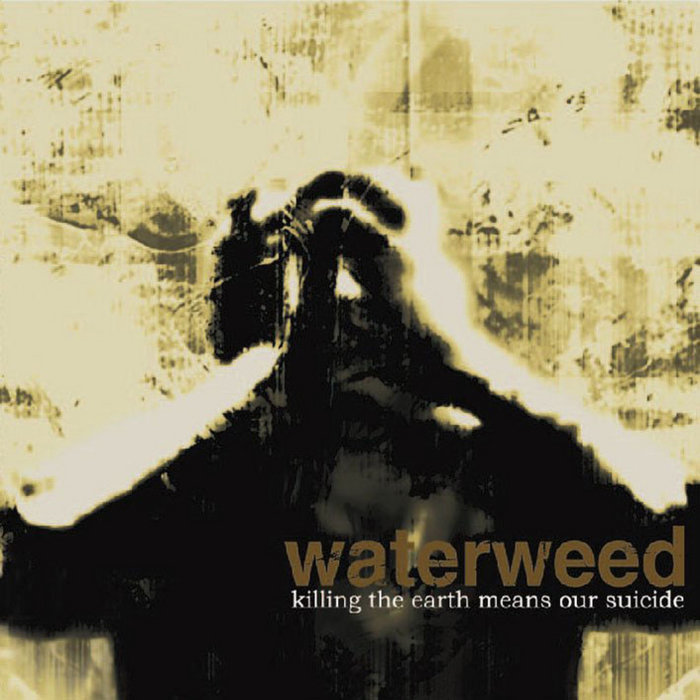waterweed.bandcamp.com
