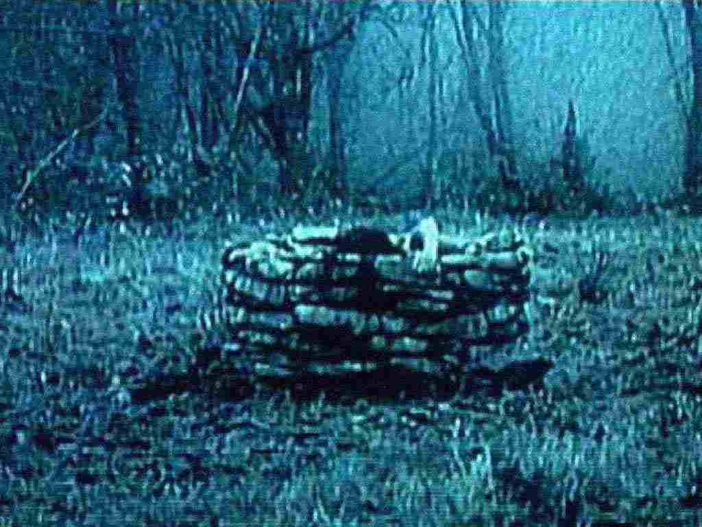 ringu1.jpg
