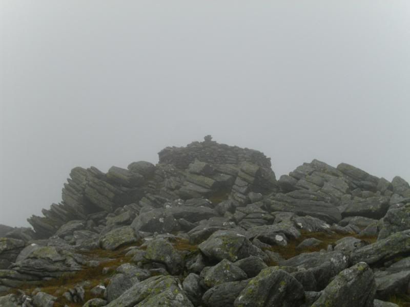 DSCI0058.jpg