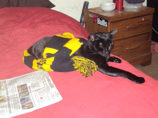 DSC00154.jpg