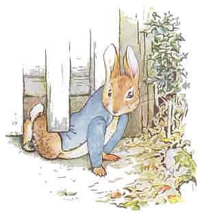 peterrabbit06.jpg