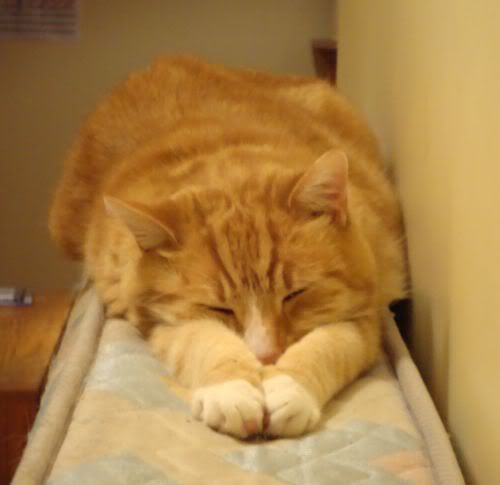 relaxmuch.jpg