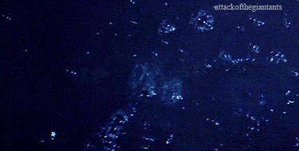 tumblr_lsi2uj1Rb31qdlvg6o1_500.gif