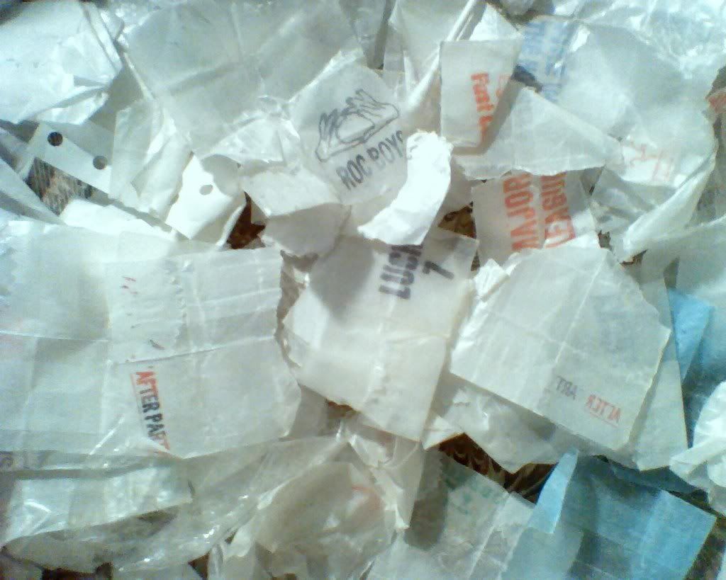 dpic2.jpg