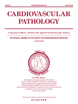 www.sciencedirect.com