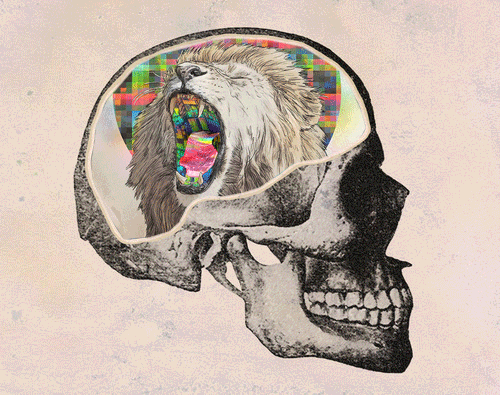 tumblr_mywh9lLipx1rf41noo1_500.gif