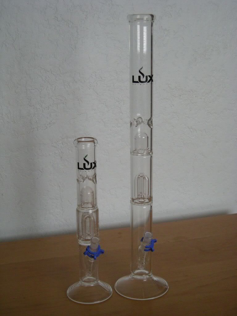 DSCN0389.jpg