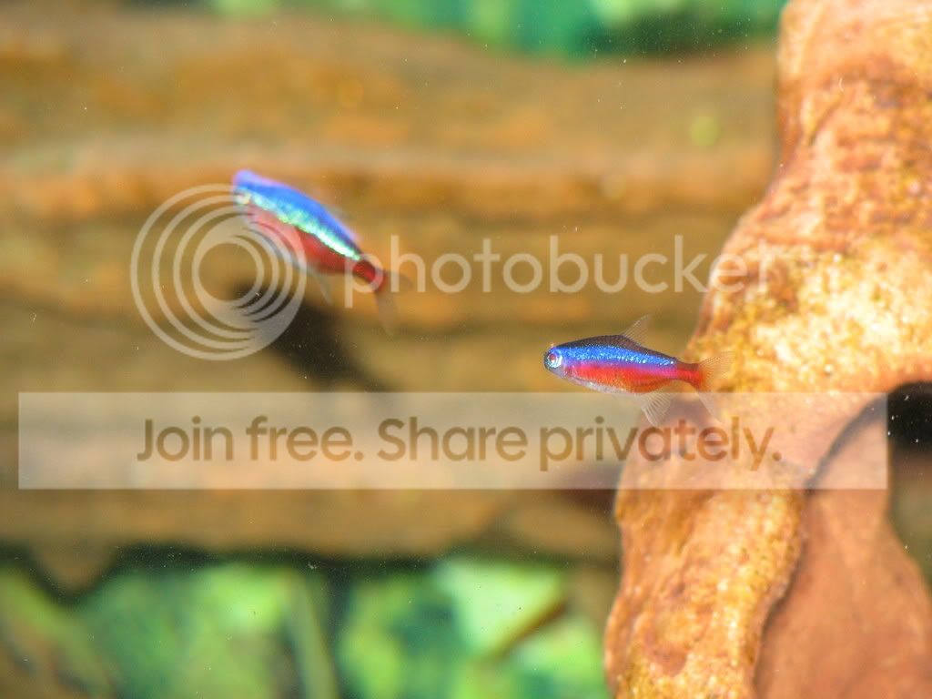 IMG_0032.jpg