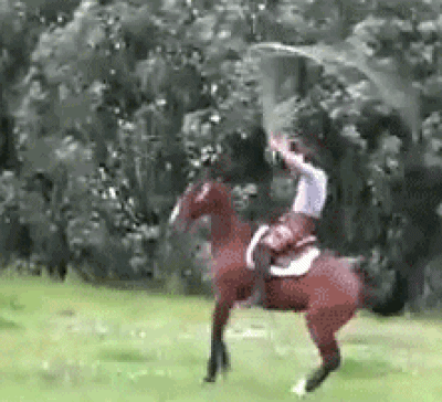 AuHLd6D.gif