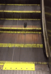 c3ulpkX.gif