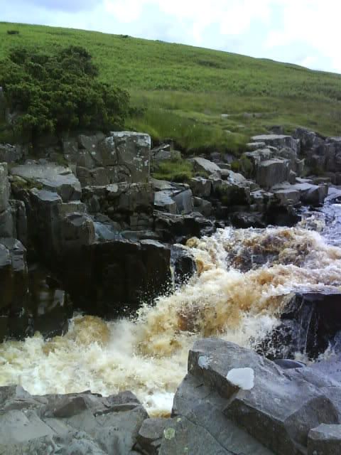 DSC00864.jpg