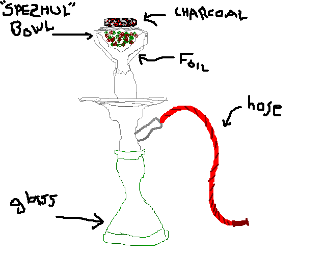 shisha.gif