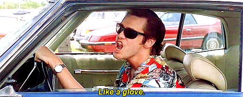 giphy-1.gif