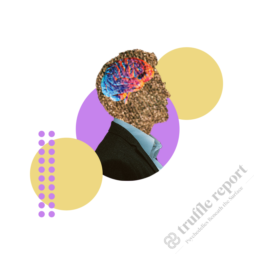www.truffle.report
