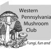 wpamushroomclub.org