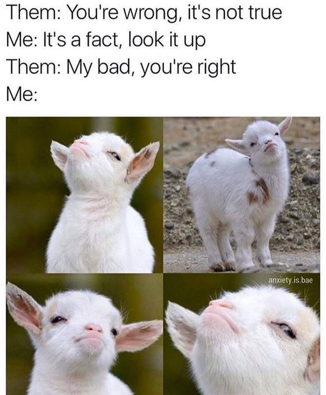 v4hPnFi.jpg