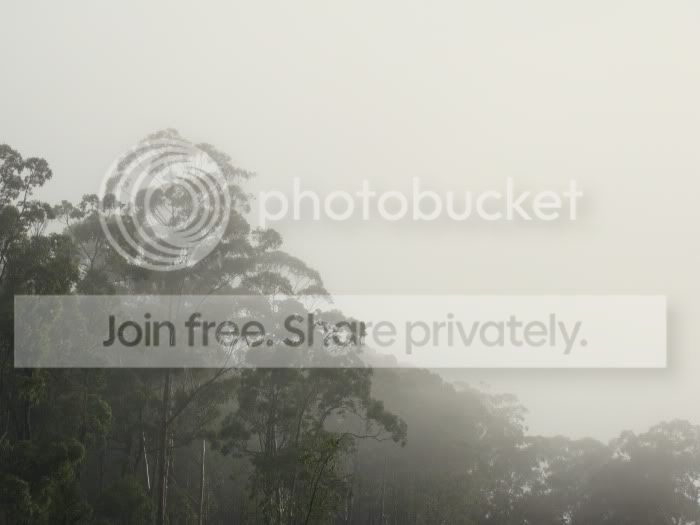 naturaltheme2.jpg