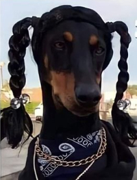 SNOop-(1).jpg