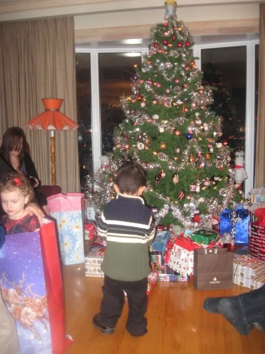 Christmas2009009b.jpg
