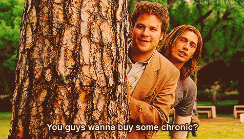 tumblr_n5b9acjNGl1r7yilso1_500.gif