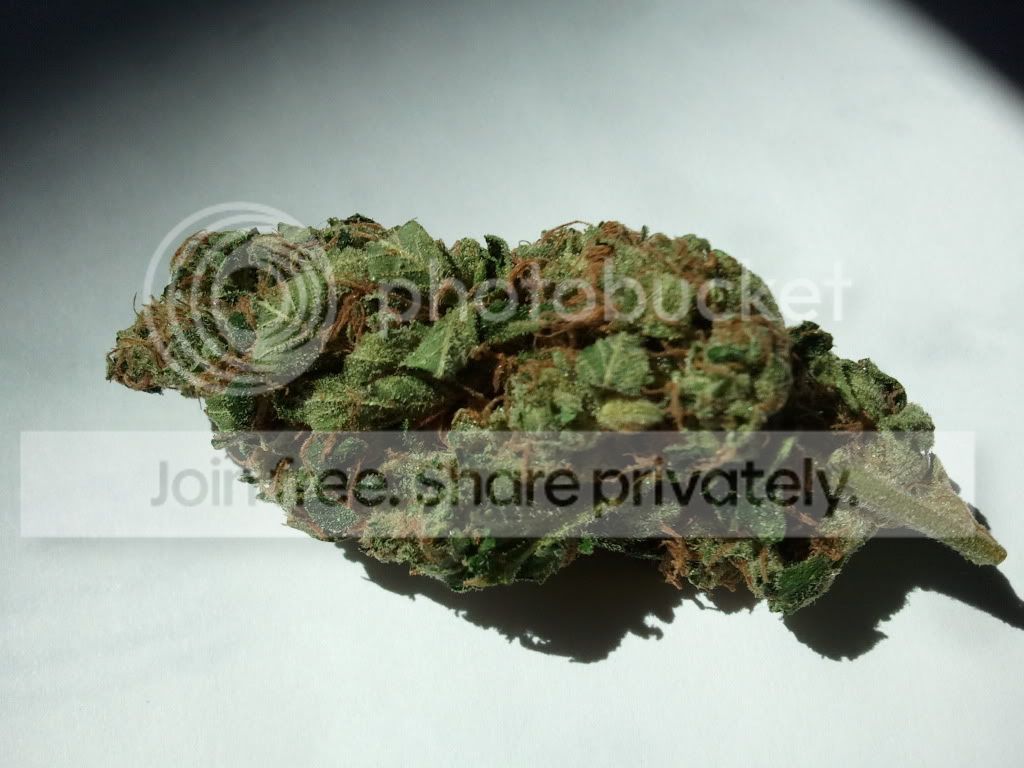 2011-04-01143246.jpg