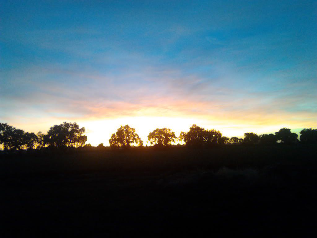IMG_20110618_205809.jpg