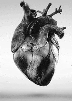 heart beat man GIF