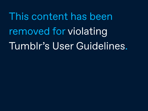 tumblr_lgj7l13LC21qb22sko1_500.jpg