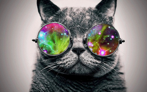 tumblr_m3fnbeR9hn1rvo7z2o1_500.gif