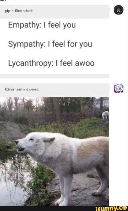 TwLWsnw.jpeg