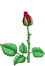 d9c84fb056.gif