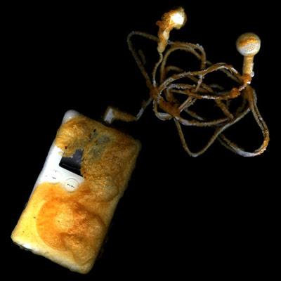 100X100-IPOD-2008.jpg