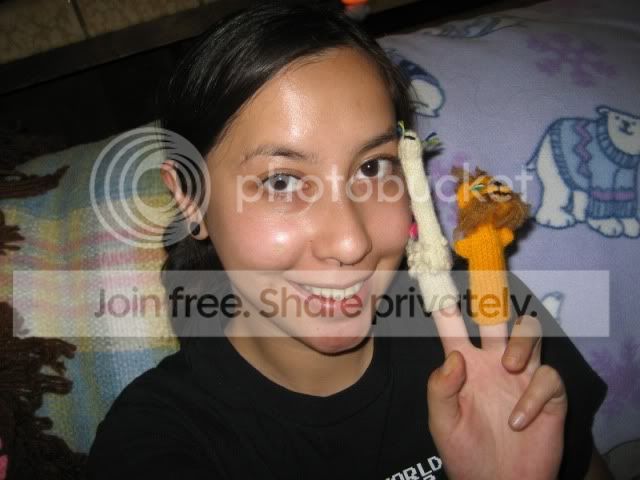 tiffalionllama.jpg