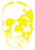 skull.gif