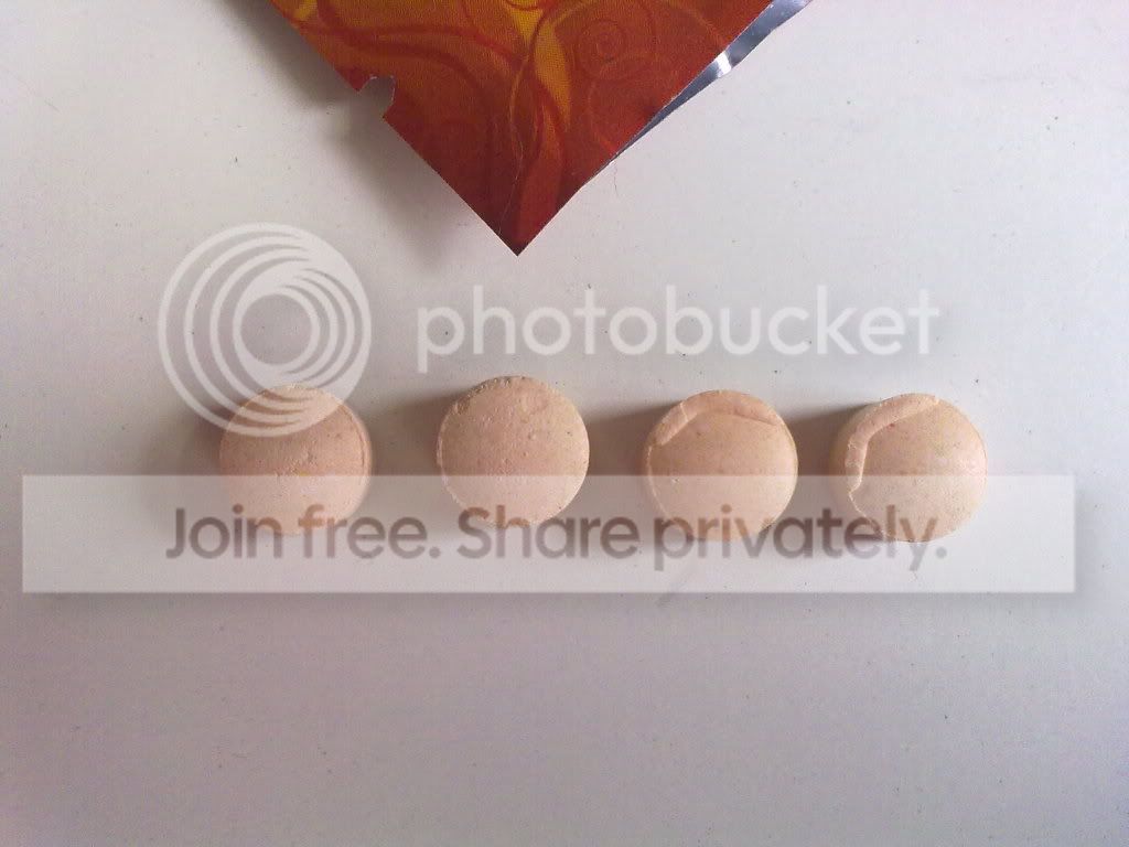 04082010261.jpg