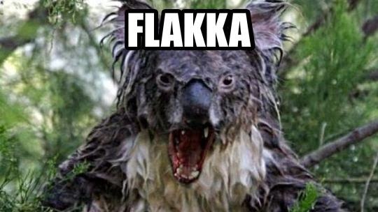 KoalaFlakka.JPG