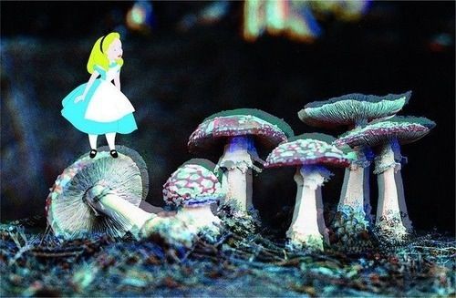1124744592-c27c90dd0f8fa0e08ab33f7524ad3233.jpg