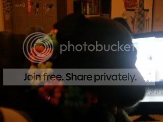 phonepix228.jpg