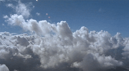 tumblr_m33nls54aL1qg39ewo1_500.gif