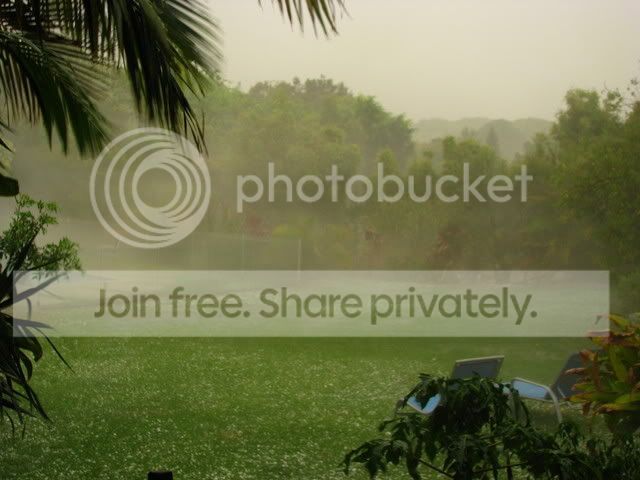 IMG_0358.jpg