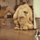 PJyH8f7.gif
