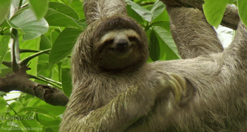 tumblr_inline_moncivko9W1qz4rgp.gif